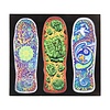Winkowski Magnet Set - Multi