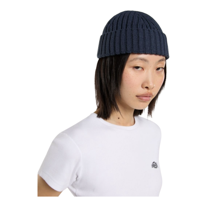 Dickies Lockwood Beanie - Navy