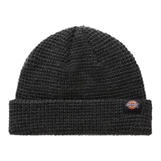 Dickies Woodworth Beanie - Black