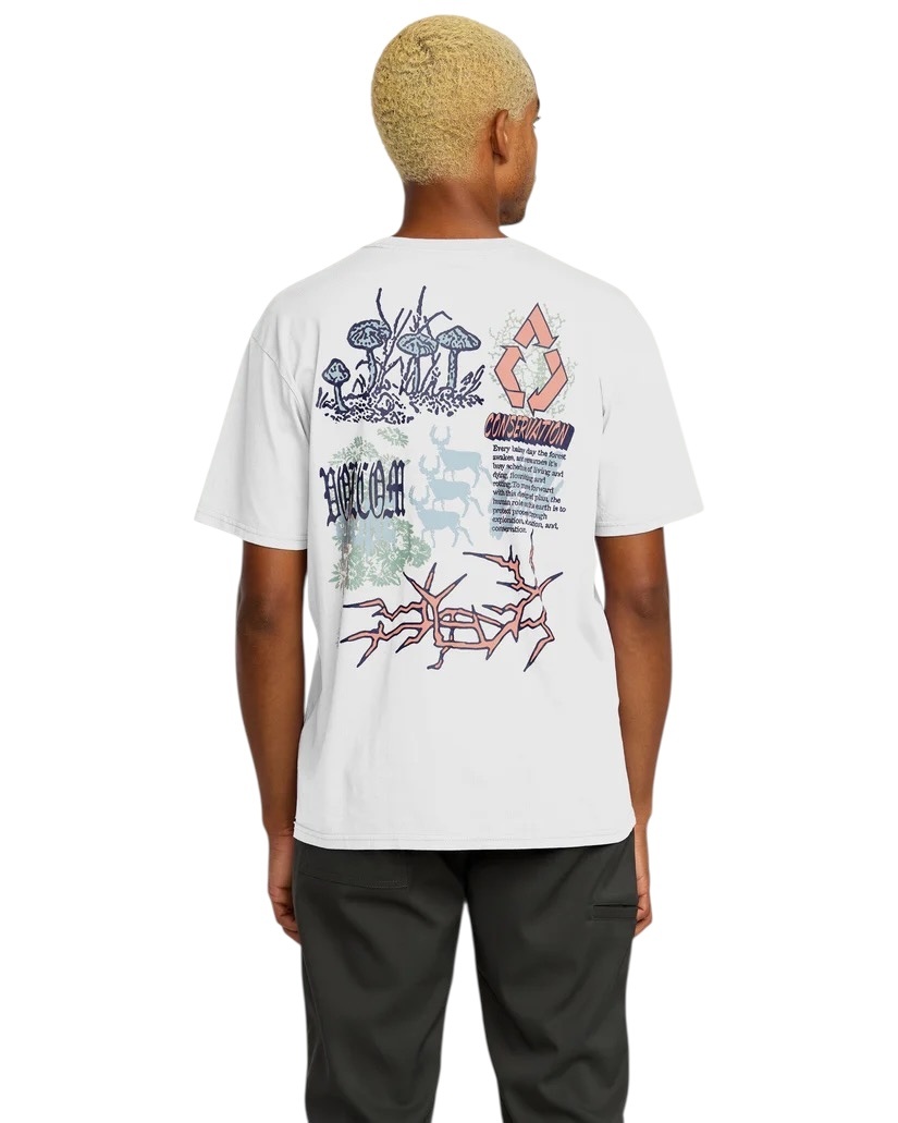 Volcom Stone Matter SST - White