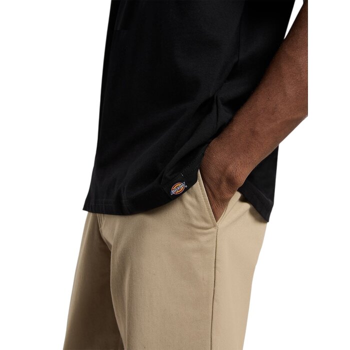 Dickies Sneedville Tee - Black