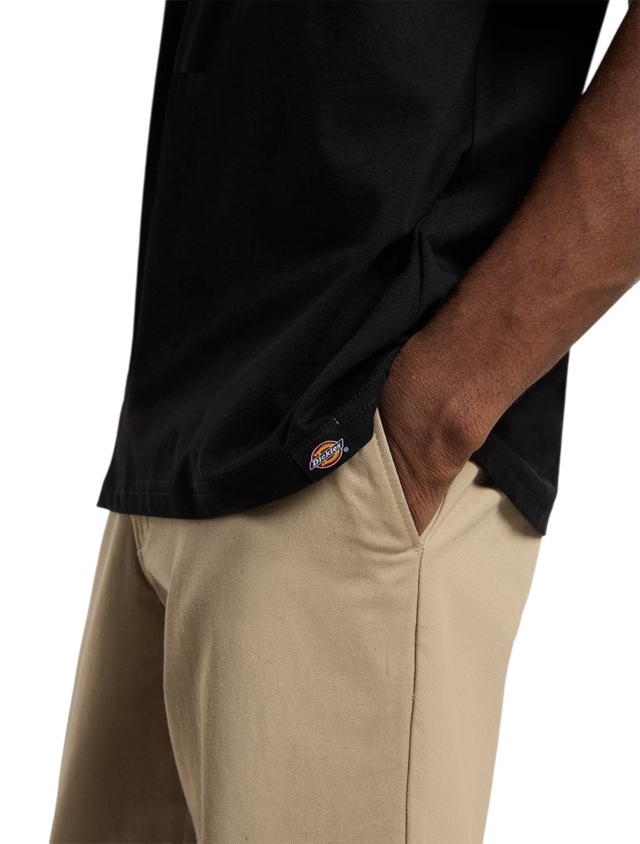 Dickies Sneedville Tee - Black