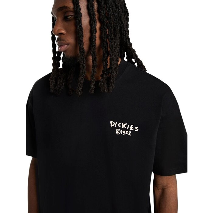 Dickies Sneedville Tee - Black