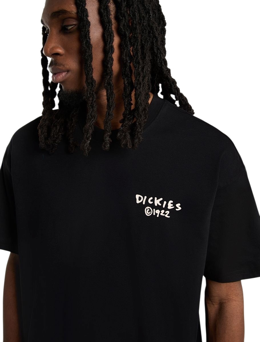 Dickies Sneedville Tee - Black