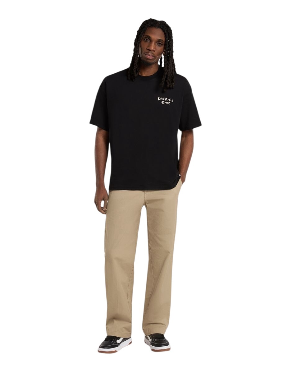 Dickies Sneedville Tee - Black