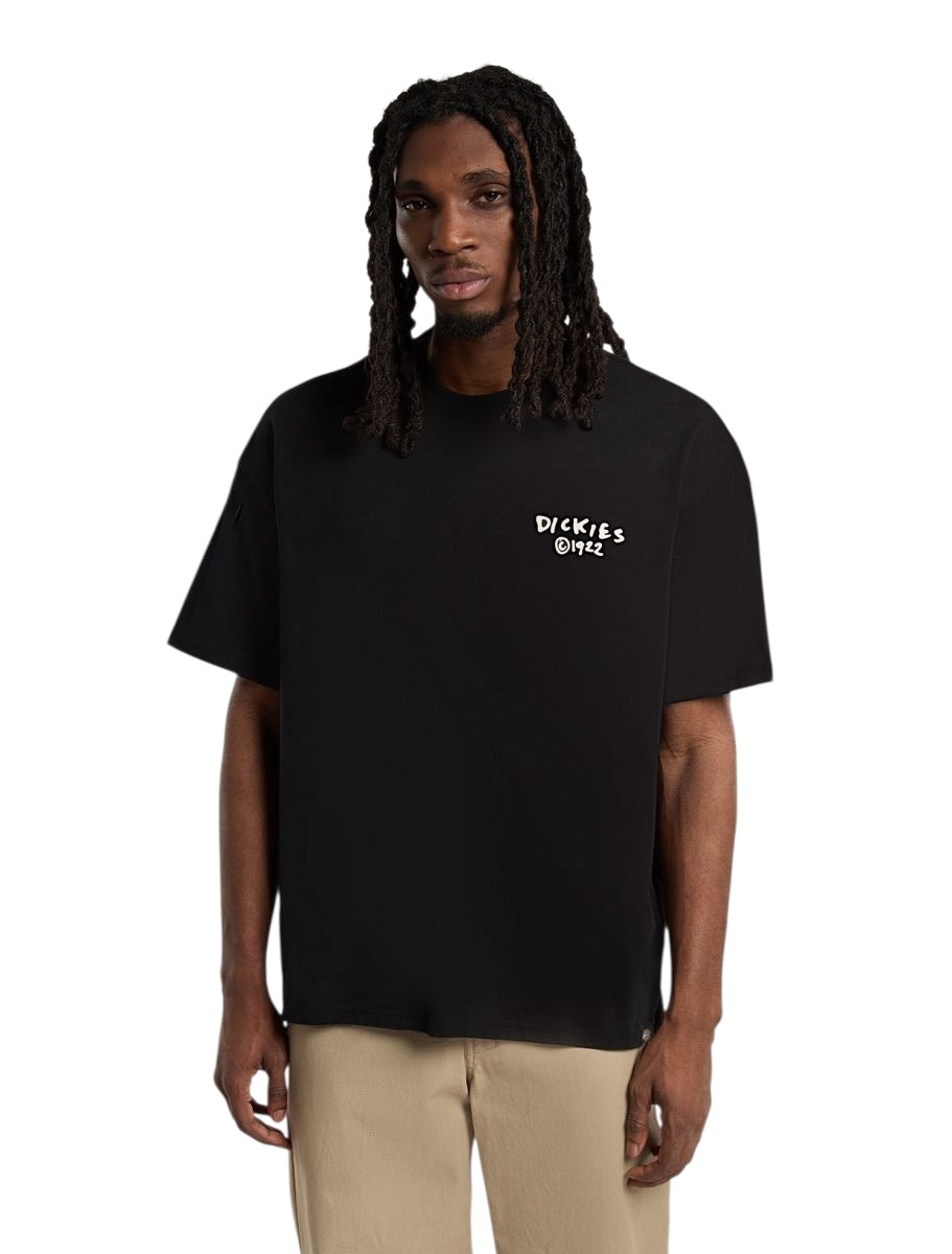Dickies Sneedville Tee - Black
