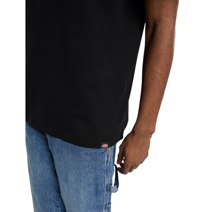 Dickies Laryville Tee - Black