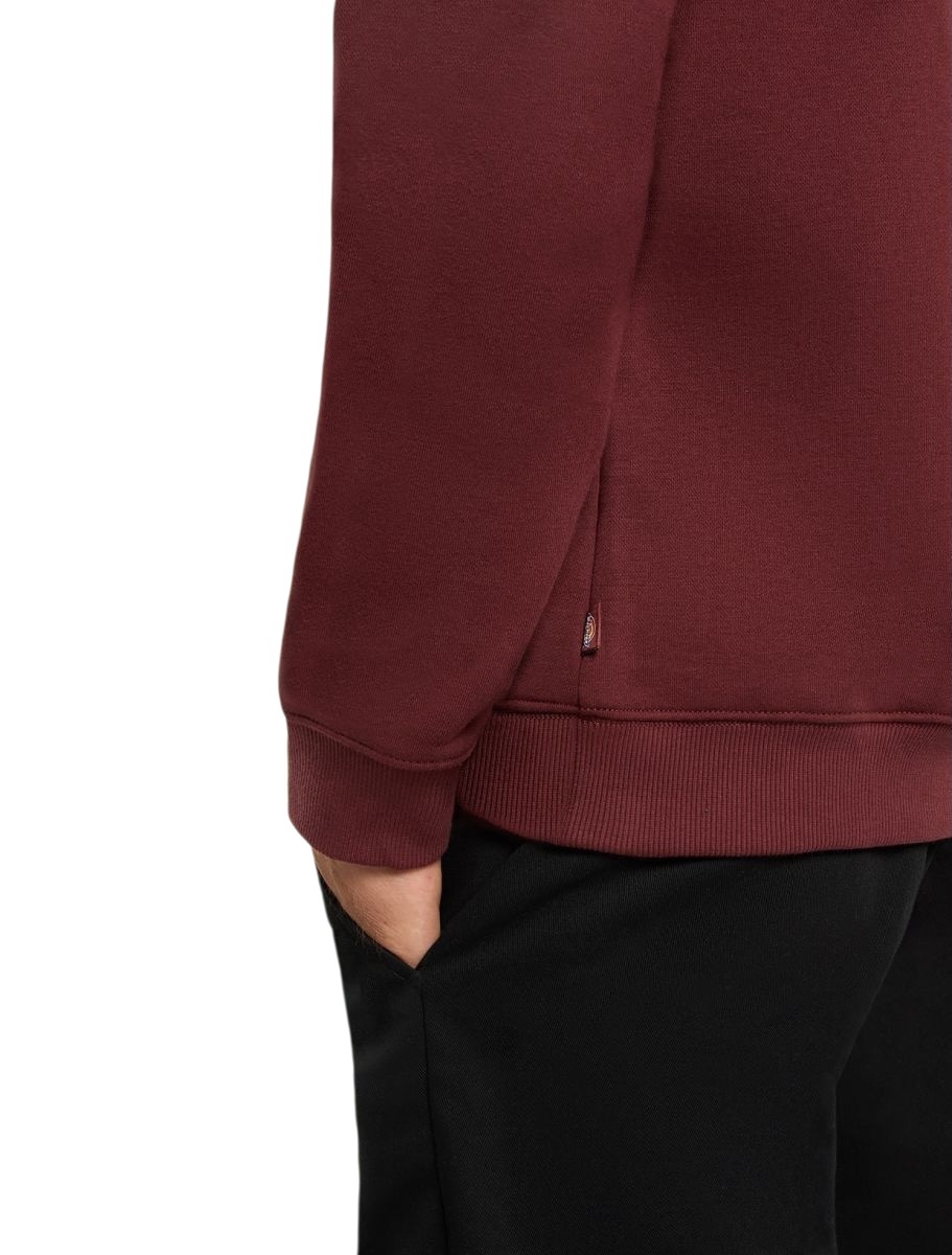 Dickies Oakport Hoodie - Andorra