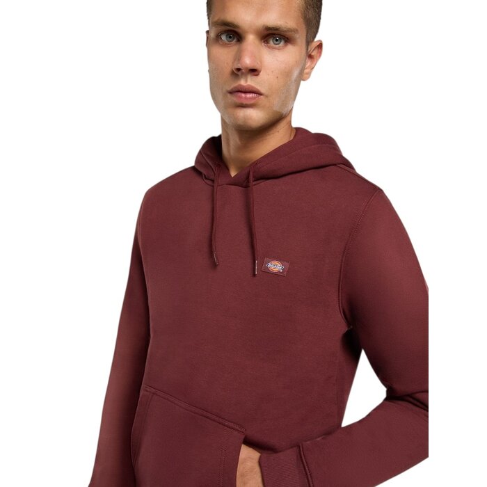 Dickies Oakport Hoodie - Andorra