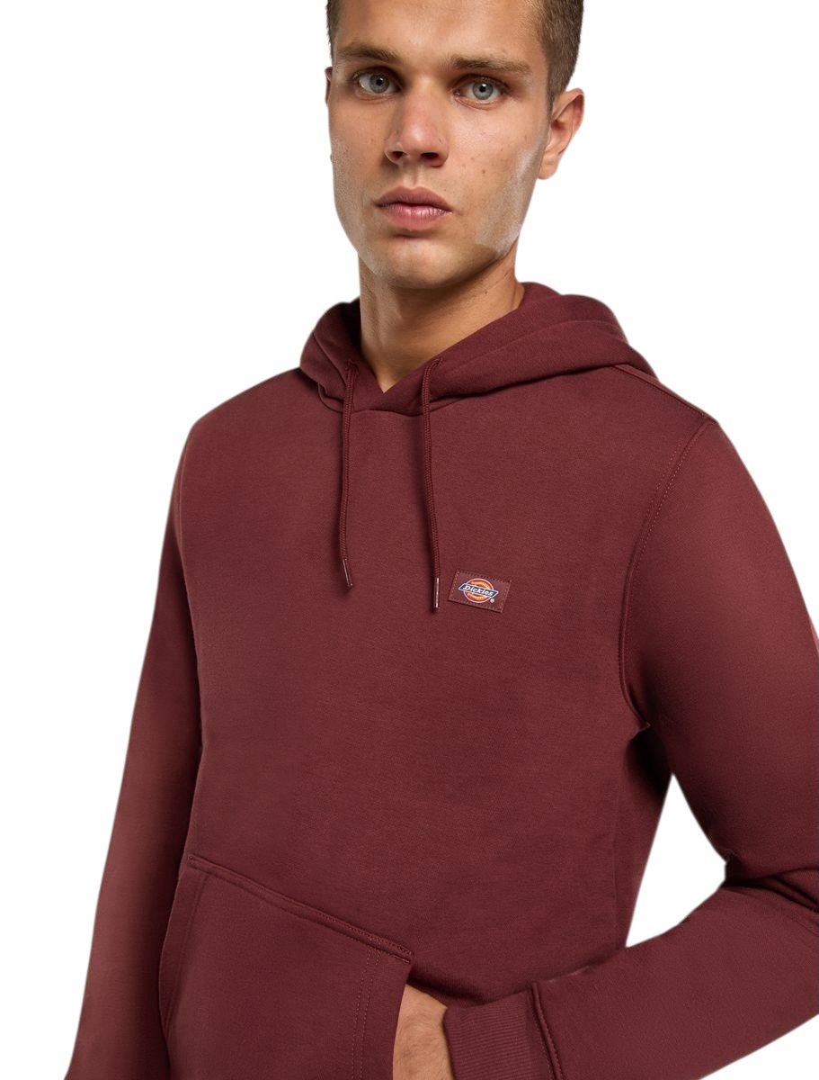 Dickies Oakport Hoodie - Andorra