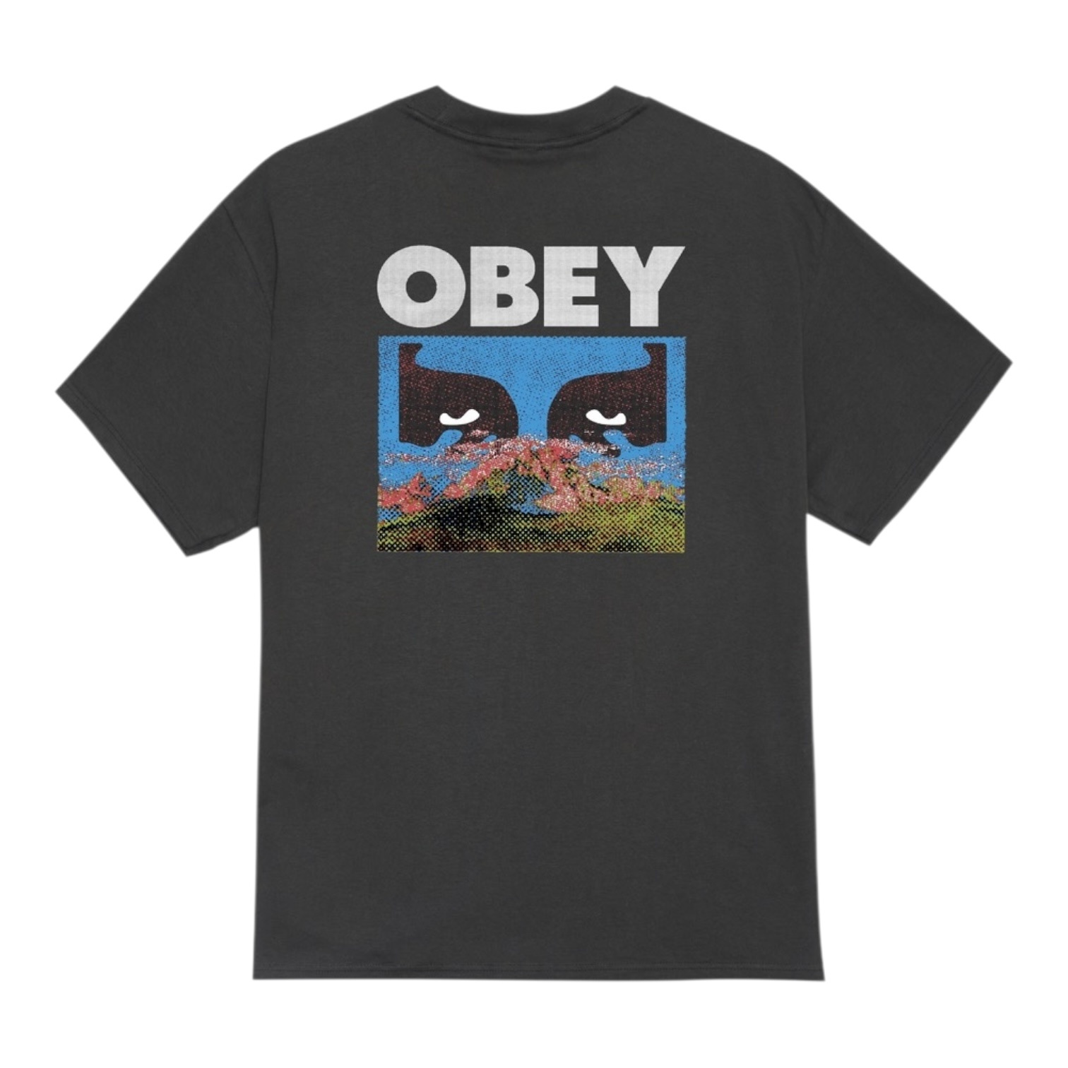 Obey In A Different Place - Vintage Black