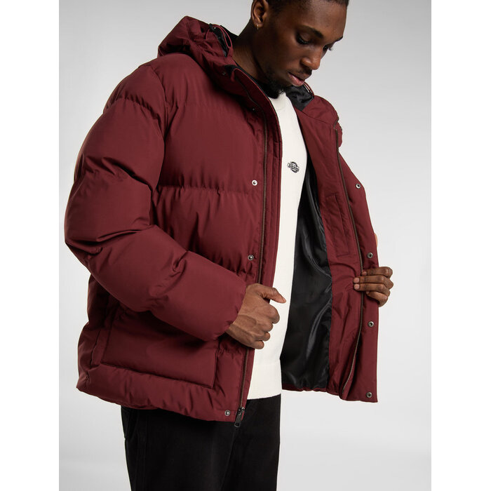 Dickies Eagleville Hooded Puffer - Andorra