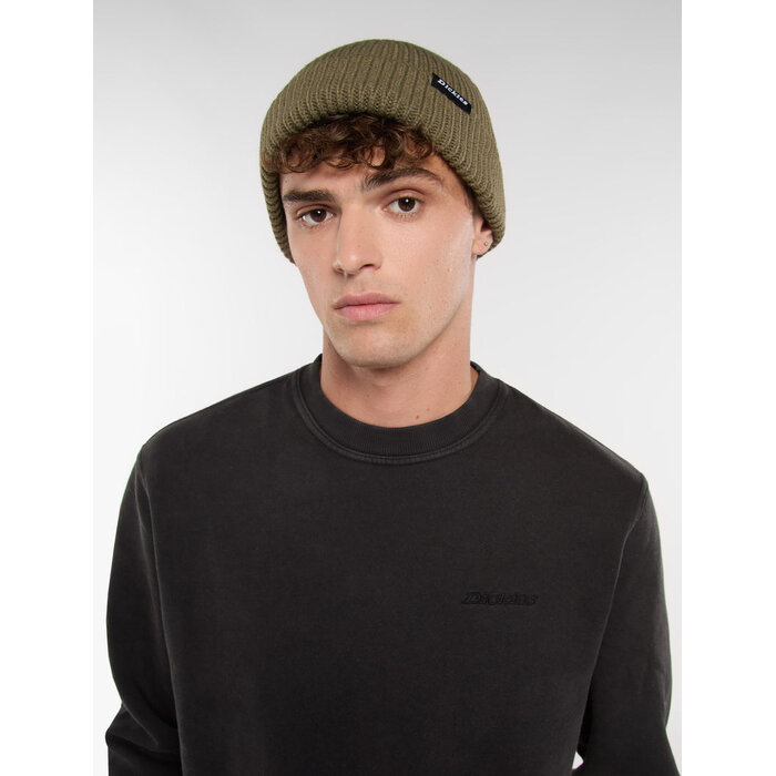 Dickies Woodworth Beanie - Military Green