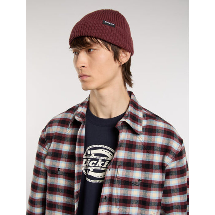Dickies Woodworth Beanie - Andorra