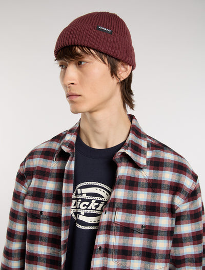 Dickies Woodworth Beanie - Andorra