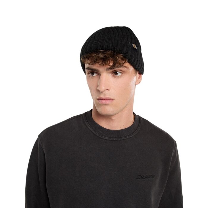 Dickies Lockwood Beanie - Black