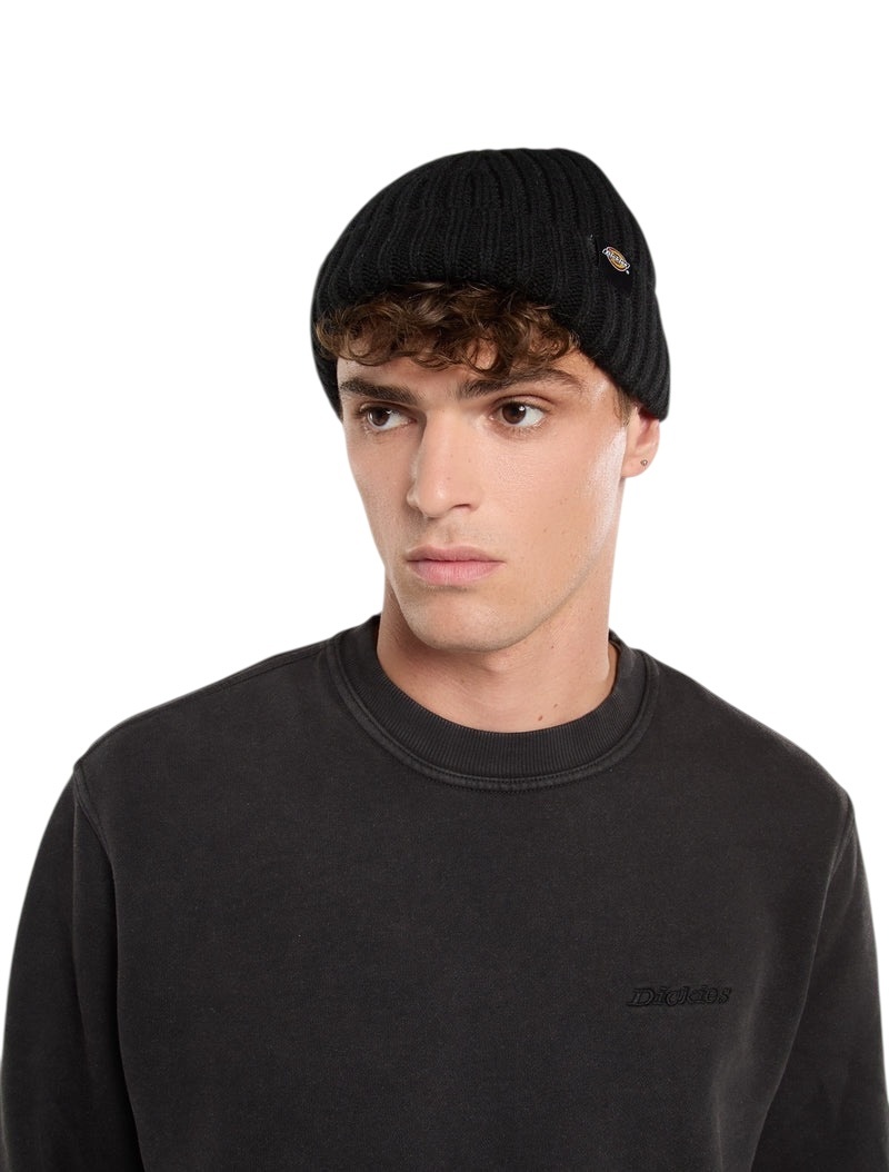 Dickies Lockwood Beanie - Black