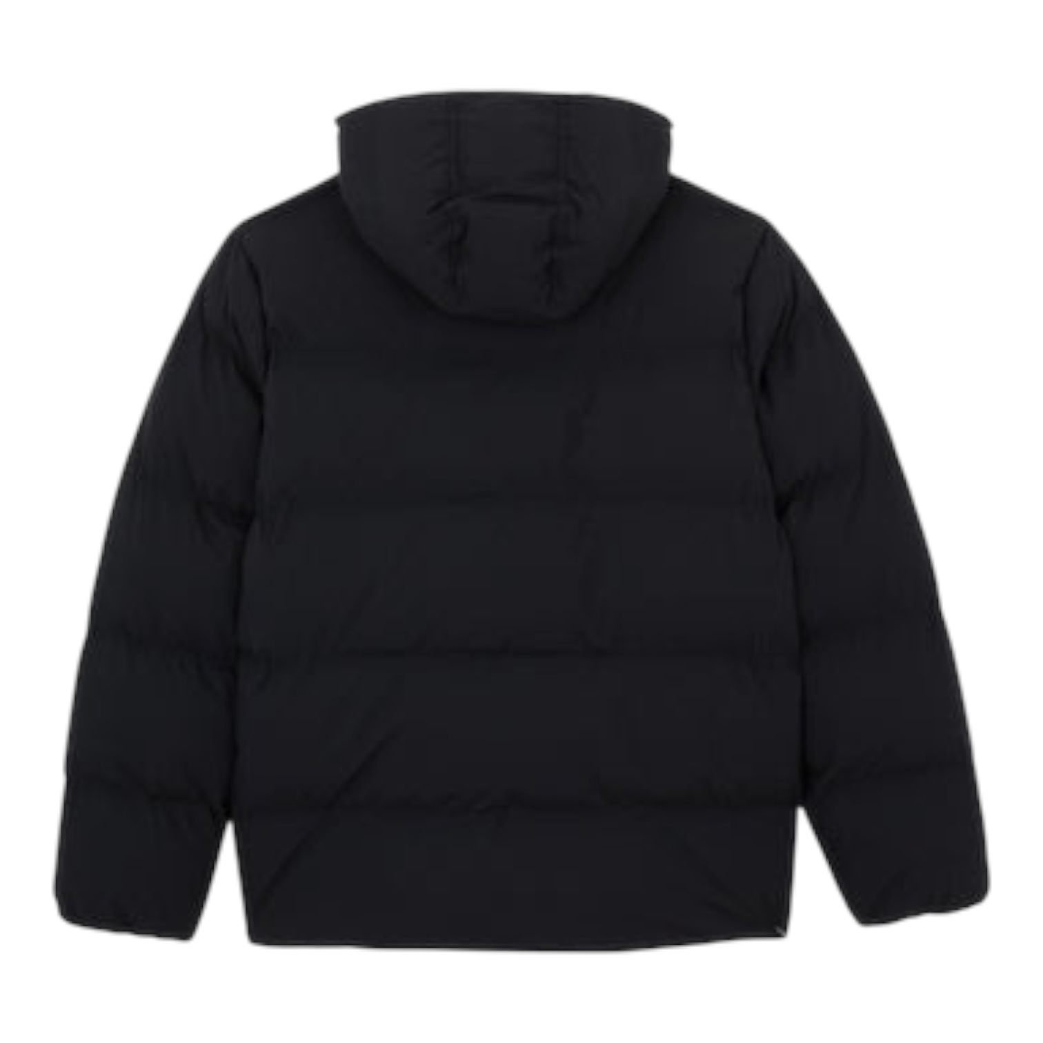 Dickies Eagleville Hooded Puffer - Black