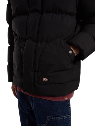 Dickies Eagleville Hooded Puffer - Black