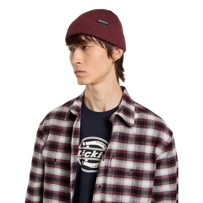 Dickies Woodworth Beanie - Andorra