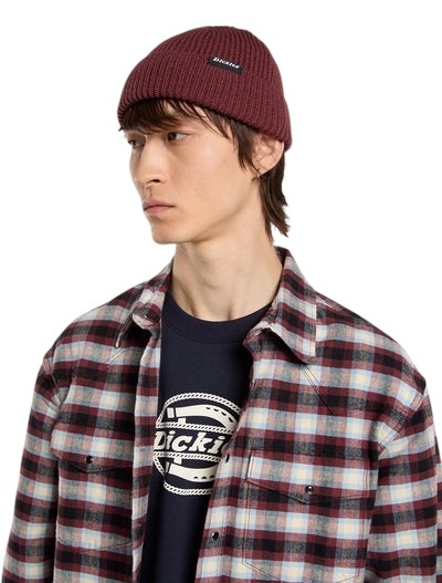 Dickies Woodworth Beanie - Andorra