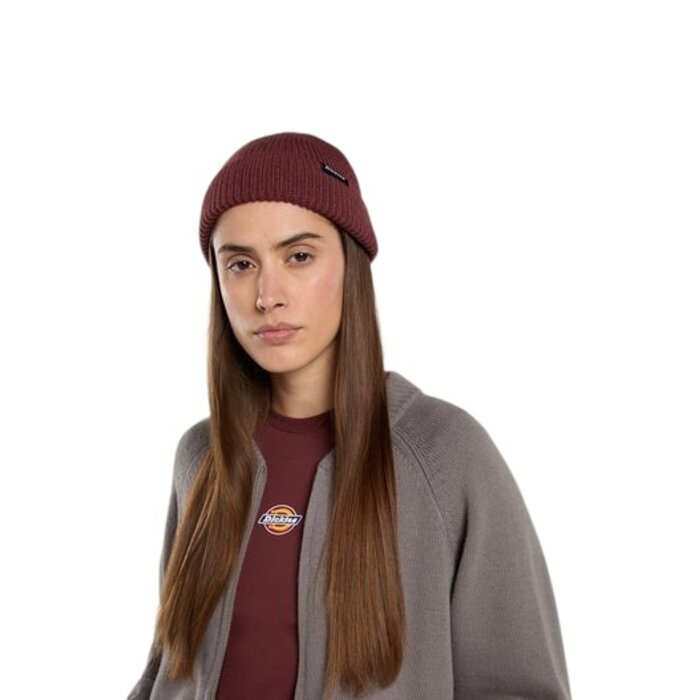 Dickies Woodworth Beanie - Andorra