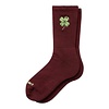 Clover Socks - Marsala