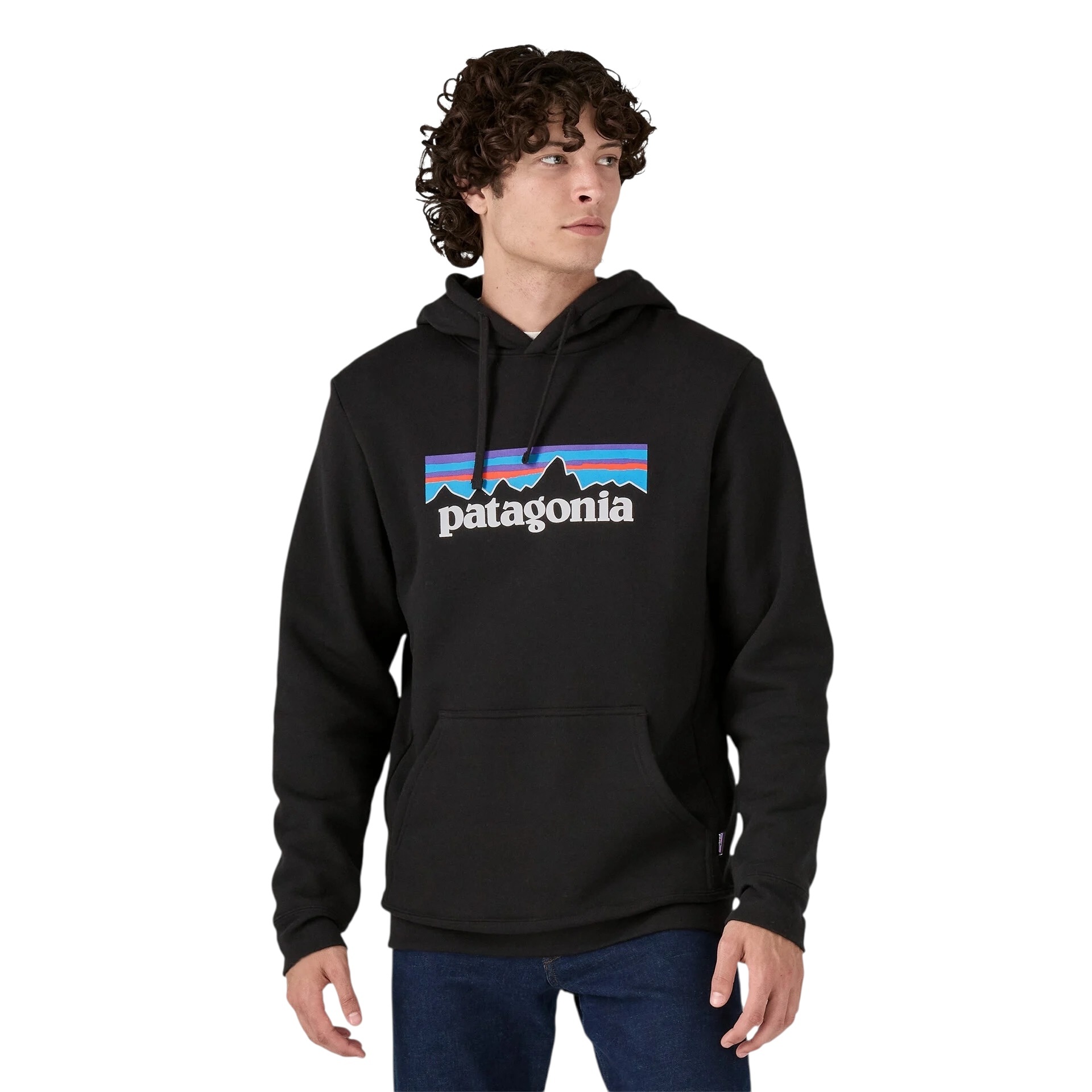 Patagonia M's P-6 Label Uprisal Hoody - Black