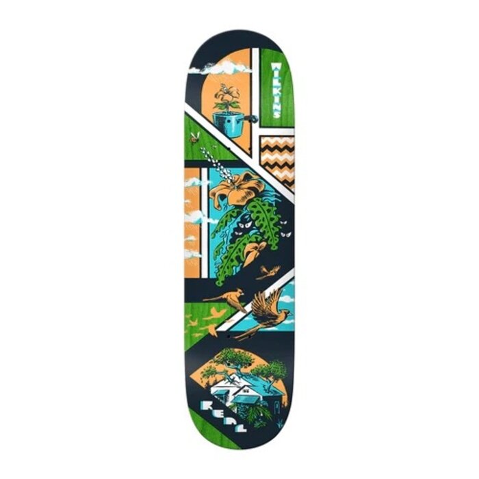 Real Skateboard Storyboard Wilkins Full Deck - 8.5