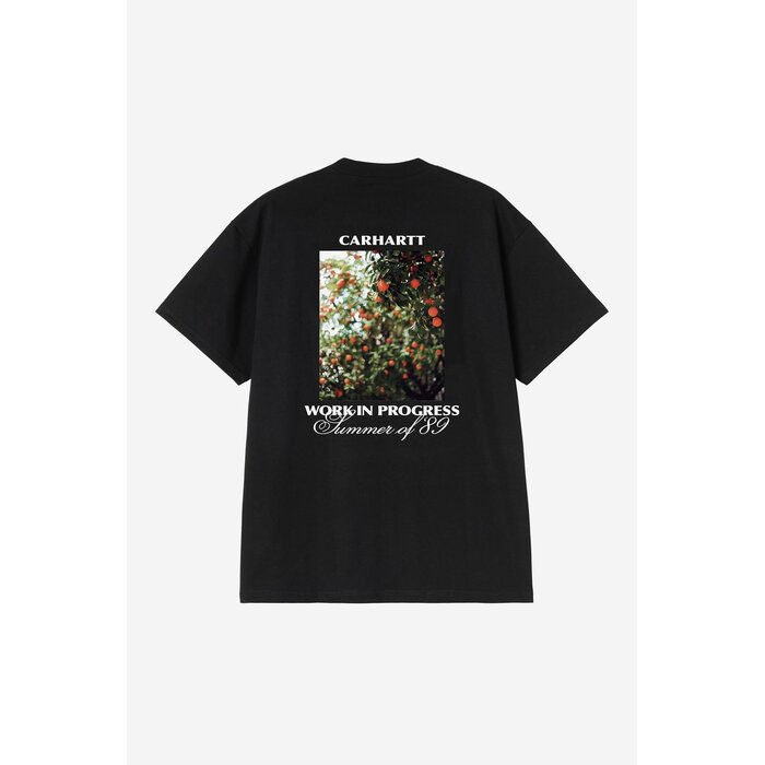 Carhartt WIP S/S Warm Views T-Shirt - Black