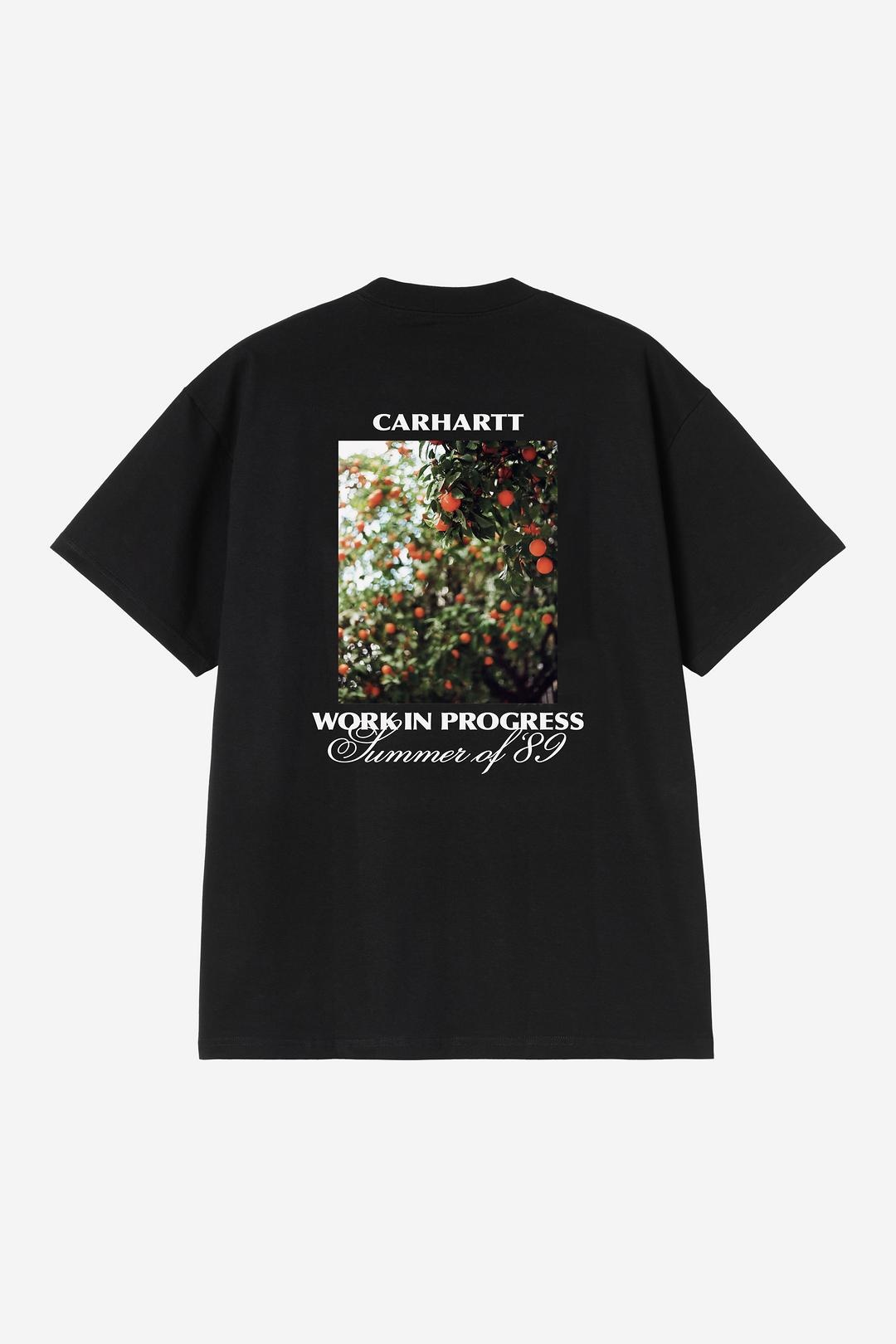 Carhartt WIP S/S Warm Views T-Shirt - Black