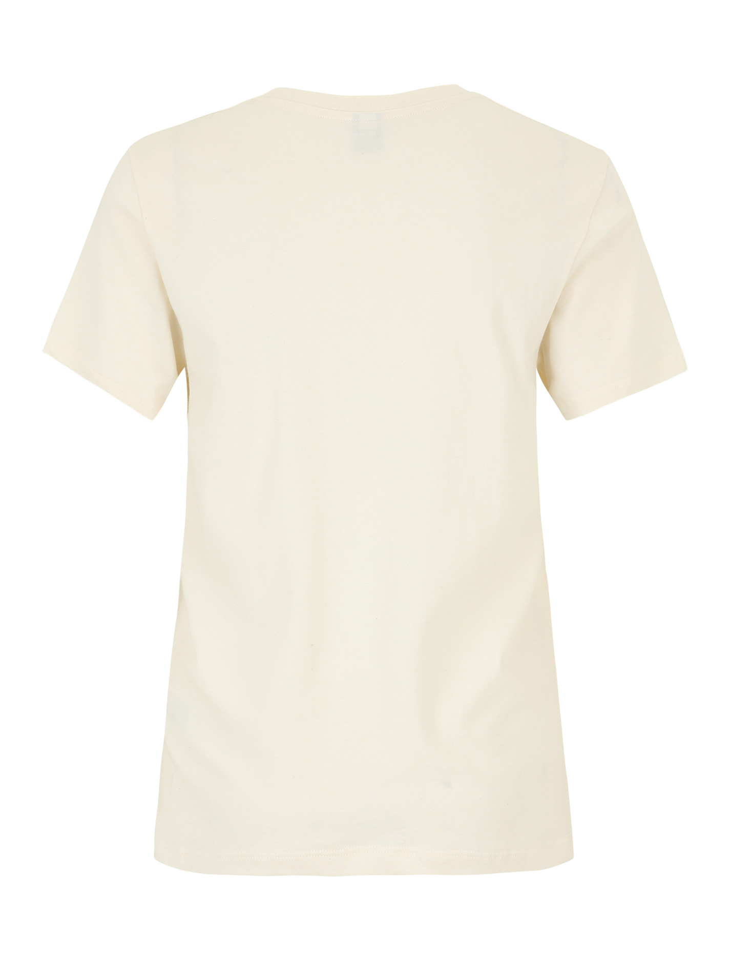 Irie Daily Stitch Flowers T-Shirt - Undyed