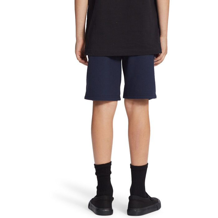Dc Shoes Riot Short - Navy Blazer