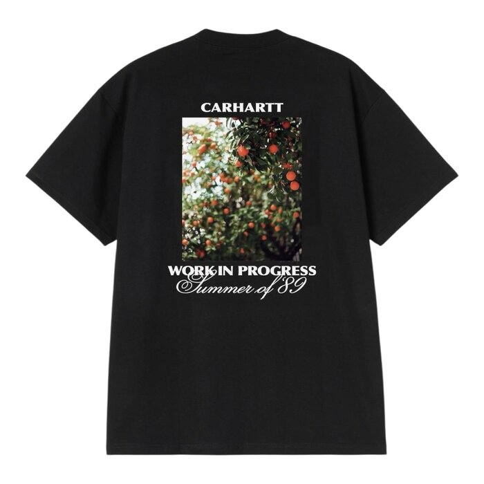 Carhartt WIP S/S Warm Views T-Shirt - Black