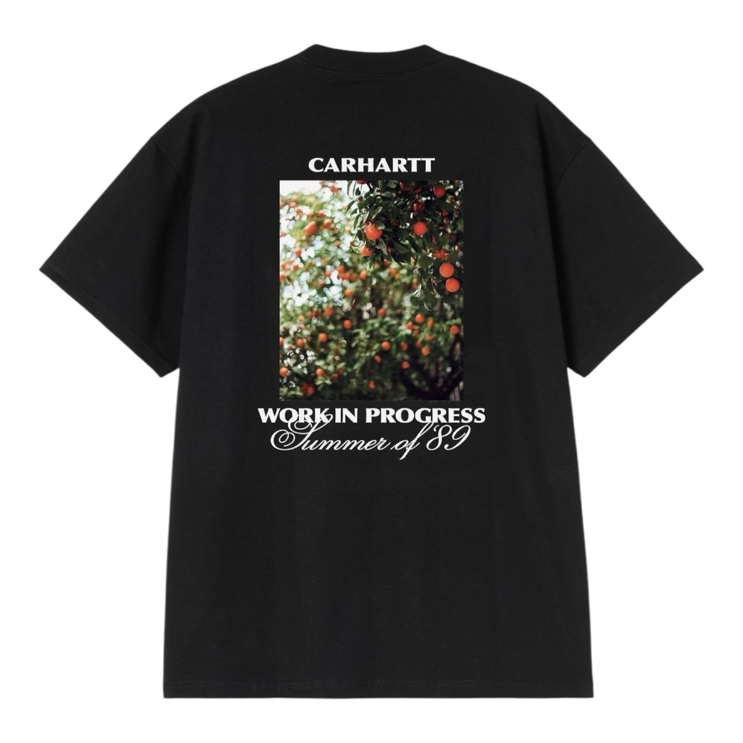 Carhartt WIP S/S Warm Views T-Shirt - Black