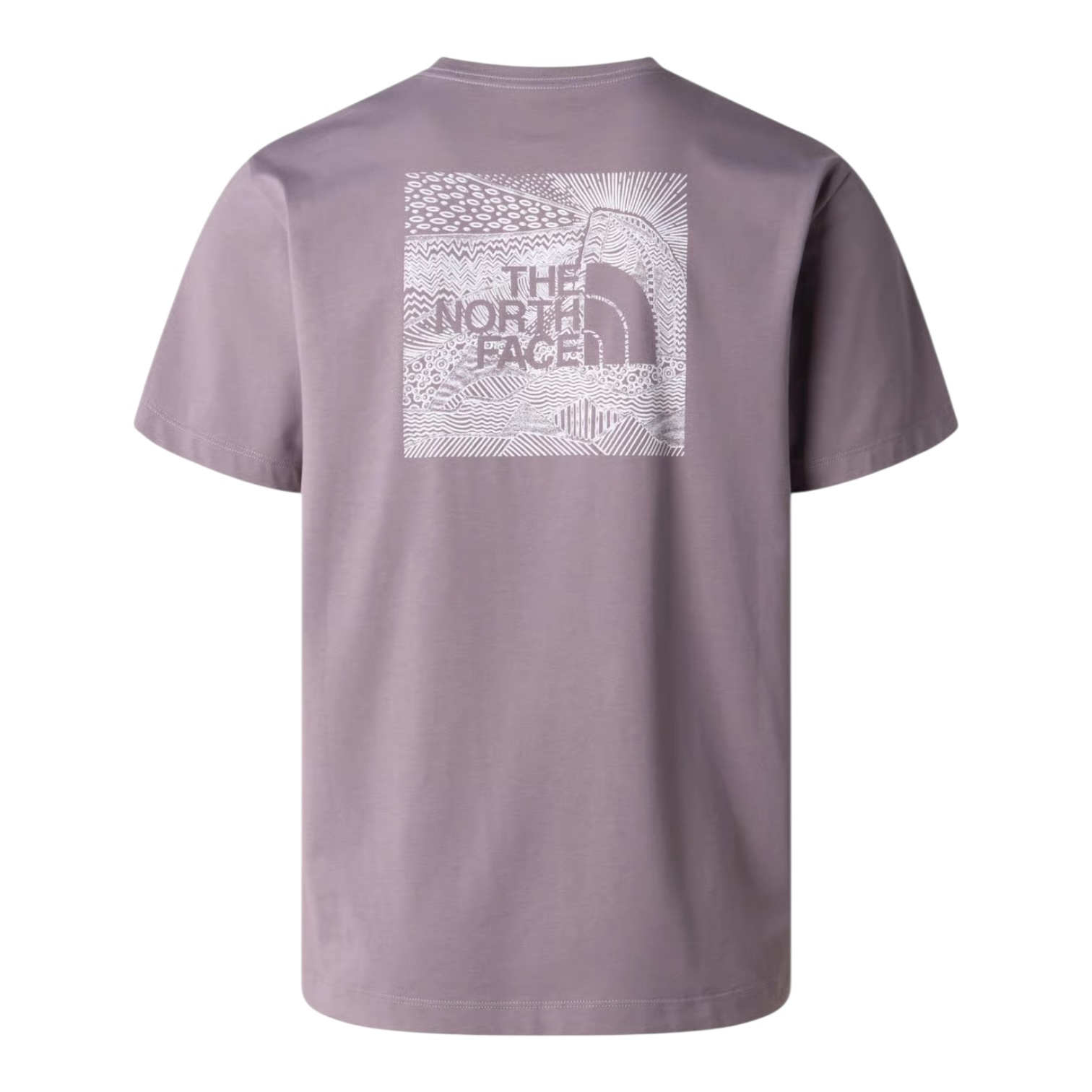 The North Face M' Box NSE Celebration Regular T-Shirt - Transcendent Grey