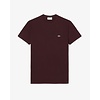 T-shirt coton Pima léger - Marron