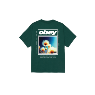 Obey Stronger Together - Rainforest