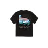 Pastures - Black