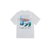 Pastures - White