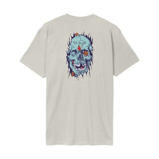 Santa Cruz Dot Dudes T-Shirt - Warm Grey