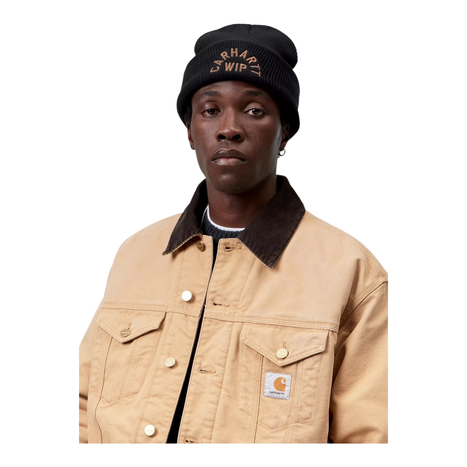 Carhartt WIP Arch Script Beanie - Black/Wip H Brown