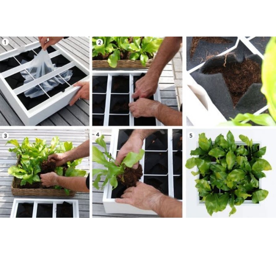 Karoo Green Wall Eco Verticale Plantenbak » Raja Trading | The Urban Garden  Store