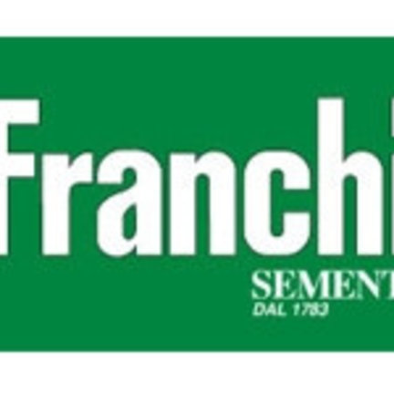 Franchi Franchi
