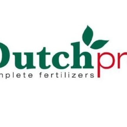 Dutch Pro Dutch Pro
