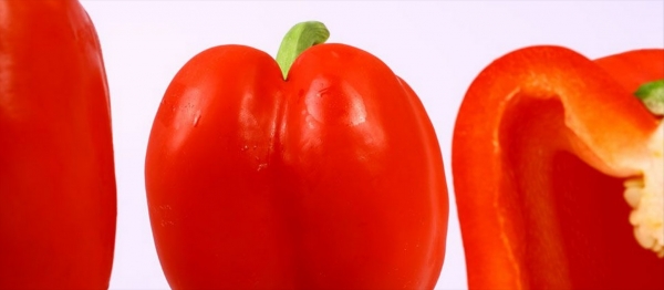 paprika kweken