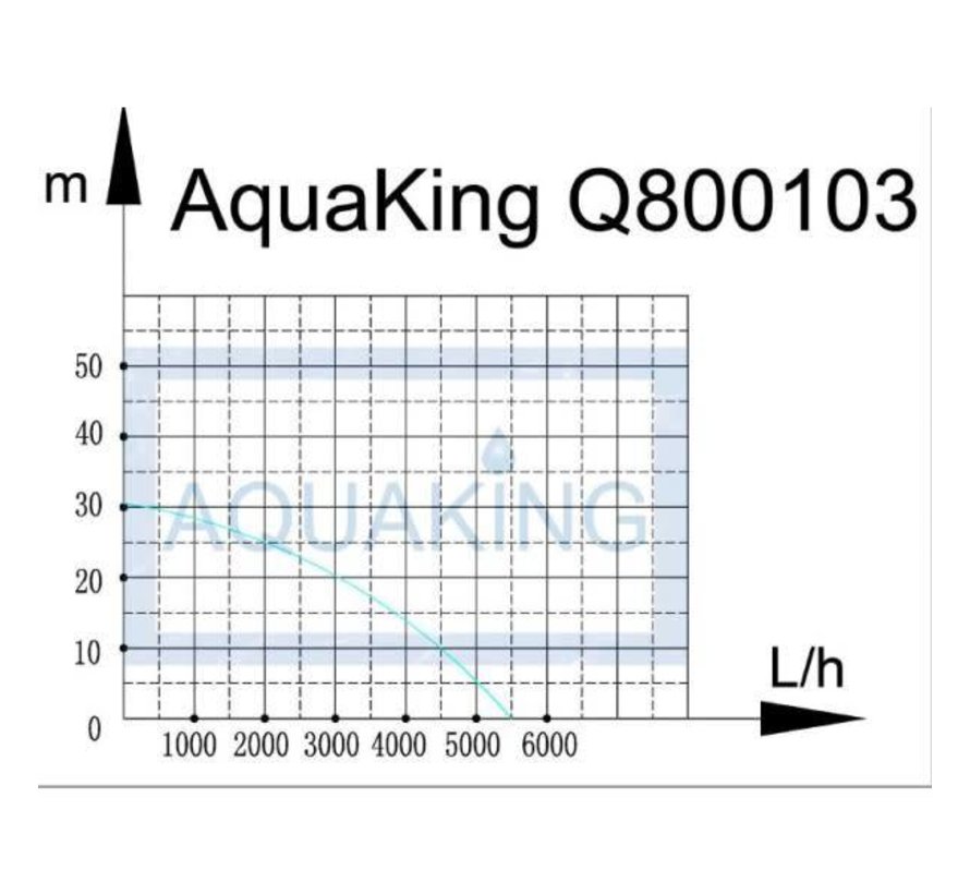 AquaKing Q800103 Tauchpumpe 5500 Liter pro Stunde