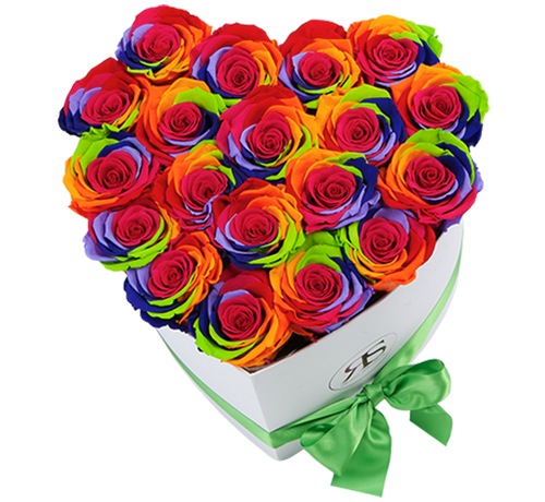 Rosuz Flowerbox Longlife Ella Rainbow