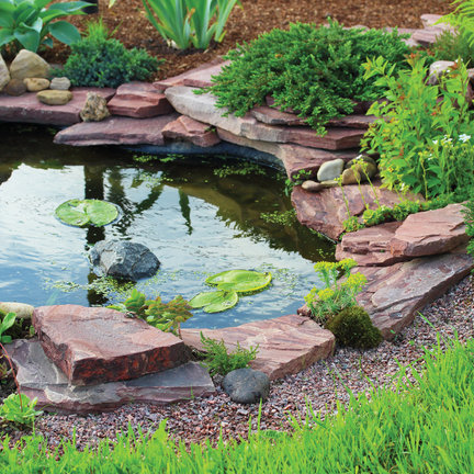 Pond lighting Pond lighting