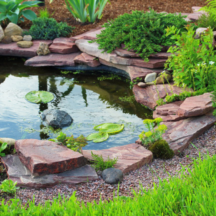 Pond Material and Supplies Pond Material and Supplies
